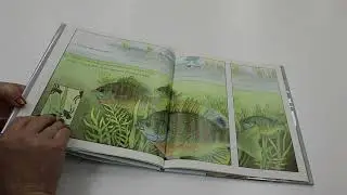 Under the Snow by Melissa Stewart; Illustrated by Constance Rummel Bergum