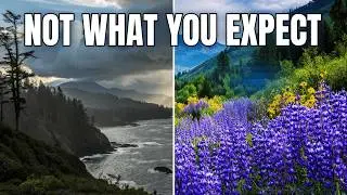 Moving From Oregon to Park City | Rental Zones, Single-Family Areas, & Hidden Gems