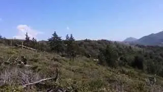 4085 Hwy 79 Julian, CA 92036 Land For Sale