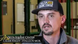 SIRE PROFILE: RC ME LEAVING YOU - EPISODE 1 (StallioneSearch)