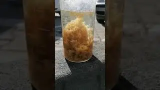 Efectele flocularii si coagularii la apa uzata