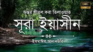 সূরা ইয়াসীন এর সবচেয়ে সেরা কন্ঠে তিলাওয়াত┇Surah Yasin Recited by Ismail An Nouri┇Al Mani Media