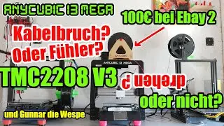 Anycubic I3 Mega Ebay 2: Kabelbruch oder Fühler defekt? TMC2208 V3 Einbau Stecker drehen oder nicht?