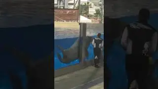 IMG 0269