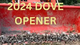 Dove Season Opener Arkansas 2024