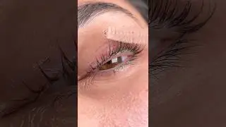 NEVER Skip This Lash Lift Step! 🛑 #lashartists #lashify #lashtech #lashextensions #lashlift #lashes