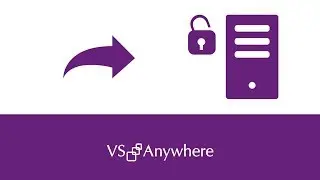 How to log on to a public server in VS Anywhere