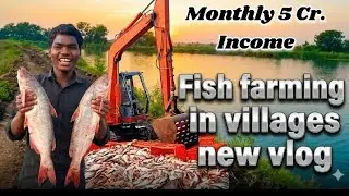 Village Fish Farming Vlog | 5 Cr. Monthly income |Lakho Ki Machli Ka Harvest | Big Fish Catch Today 
