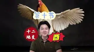 十二地支第十节｜鸡 酉金｜取象｜一共十二节系列｜搭配六十甲子取象#国学 #周易 #日月乾坤