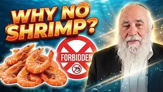 Why Jews Don’t Eat Shrimp: It’s Not What You Think - Rabbi Yisroel Goldstein