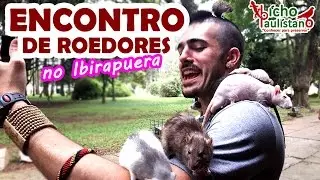 ENCONTRO DE ROEDORES NO IBIRAPUERA