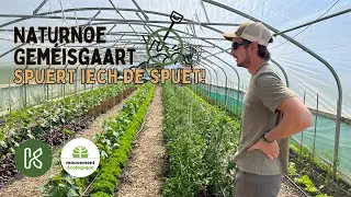 Naturnoe Geméisgaart - am Hierscht (4/4)