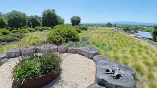 Nature trail above Meta HQ campus building MPK 22