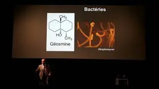 Voyage au centre de la terre - conférence par Marc-André Selosse (26/05/2022)