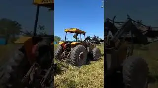arrancando cerca velha
