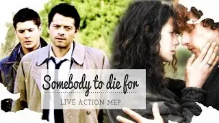 ѕ&sigma;мeв&sigma;&part;ч t&sigma; d&iota;e &fnof;&sigma;я &bull; Live Action MEP