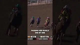 Эпическая женская классика Breeders' Cup от Zenyatta!