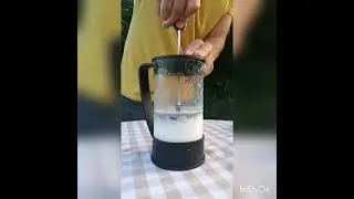 C&oacute;mo Espumar la Leche en la Prensa Francesa
