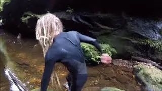 Bush walking in the Blue Mountains