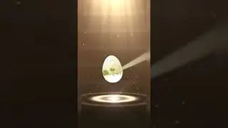 2km Egg Hatch on Pokemon Go