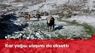Haziranda 