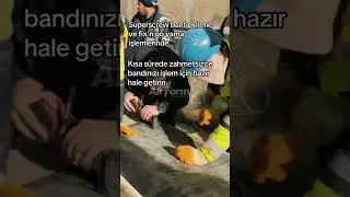 Konvey&ouml;r Bant Soyma Kat Alma Makinesi Fein Kit Airform Konvey&ouml;r Bant Farkıyla