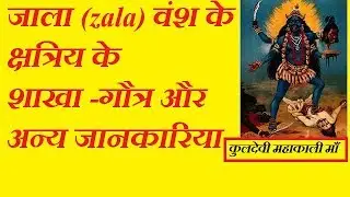 जाला वंश के शाखा और जानकारिया/ goutra,shaka of zala | indian clivilization and culture