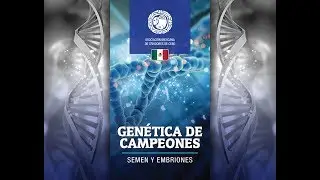 Cat&aacute;logo De Gen&eacute;tica De Campeones &ndash;  Toro Mr Red Vader 70/5 TE  70/5