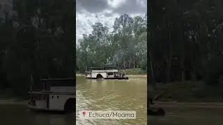 Echuca Paddle Steamers ⚓️ #australia #victoria #newsouthwales #travel #travelvlog #trending #explore