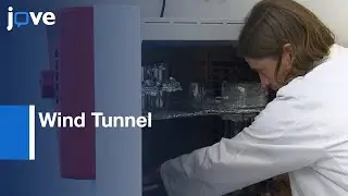 Wind Tunnel For Odor Mediated Insect Behavioural Assays l Protocol Preview