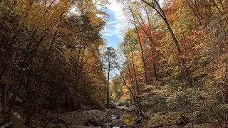 Best hiking trail near Chattanooga, Signal Mountain