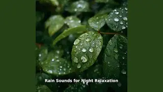 Night Rain, Pt.28