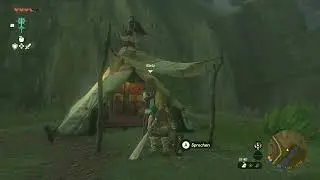 The Legend of Zelda: Tears of the Kingdom - Honigs&uuml;&szlig;er Hochgenuss