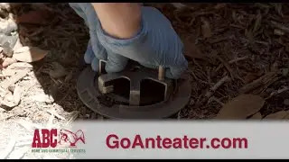 ABC Home & Commercial Services: Termite Protection Program