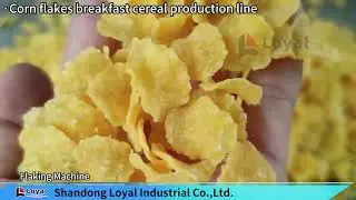 Customizable Corn Flakes Production Line for Diverse Product Requirements