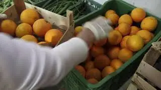 NEL PANIERE L'Autenticit&agrave; dei prodotti a km0.🌱