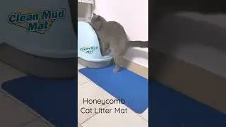 Honeycomb Cat Litter Mat #doormat #catlittermat #catmat #petmat #pets #mypet #mat #floormats