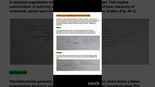 type of Organization  structure in management