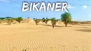 Chandigarh to Bikaner Road Trip 550 km | Good Roads | Rajasthan Series 2022 #Vlog 1