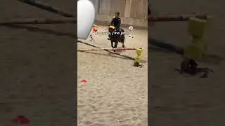 Je cours, j'me jette 👅👅 #trending #horse #equestrian #equitation #pony #humour #trending