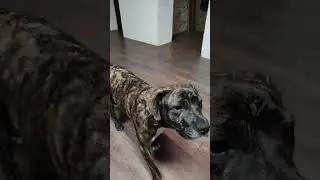 рик и морти