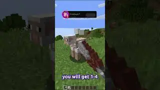 How To Get WOOL