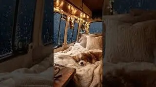 Rainy Night In A Cozy RV Camper Van | Rain Sounds | #asmr #rain #rainsounds