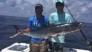 We're back catching Wahoo & King in the Gulf Stream, Murrells Inlet, SC (Aug 2017)