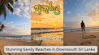 Surf, Sand, and Serenity: A Day on the Beaches of Southern Sri Lanka#srilankavlog#srilankatourism