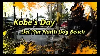 Del Mar Dog Beach