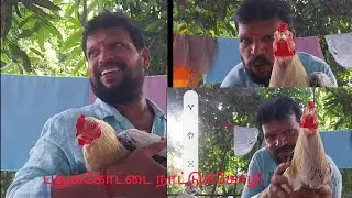 # Pudukottai Country Chicken👌🏼 Cutting Video