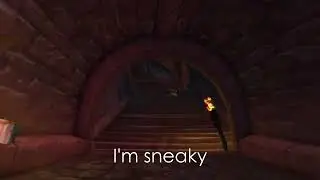 I'm Sneaky - WoW Music Video - Night Elf Special
