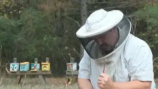 Beekeepers have hope for bee vaccine