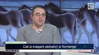 Adevărul trist despre caii de la Letea - Nicu P&acirc;rlog, expert &icirc;n viață sălbatică